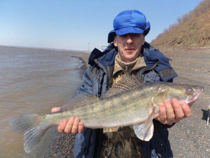 Куда поехать на рыбалку в красноярском крае и запрет 2019