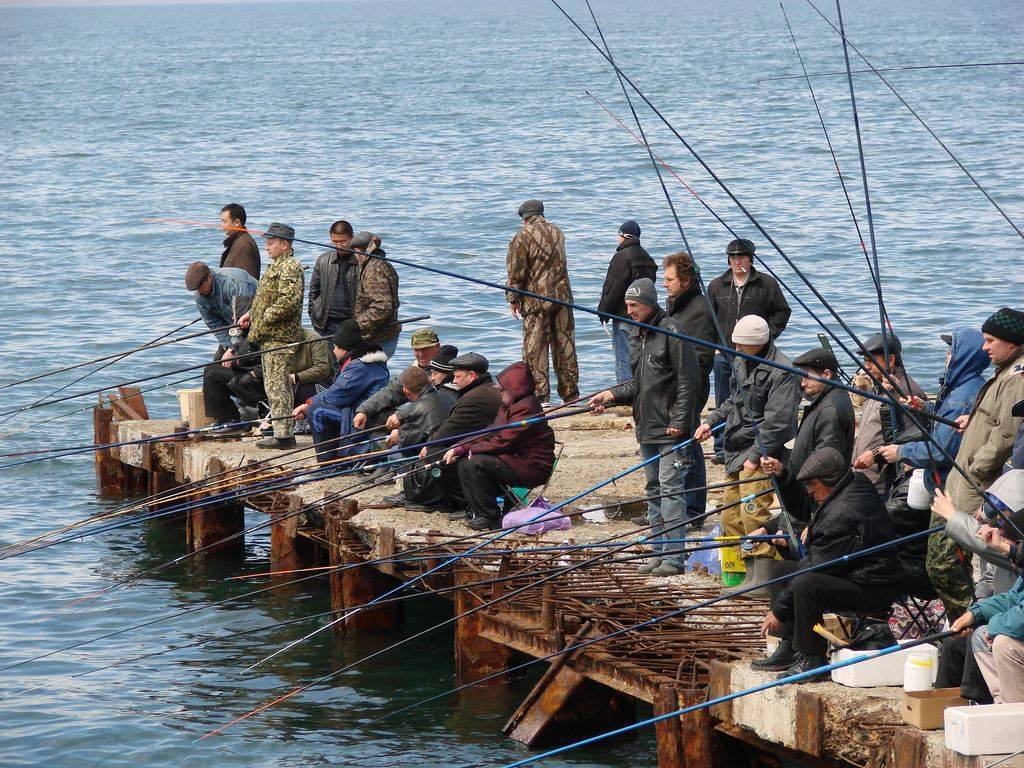 4 места для рыбалки в приморье | the vladivostok room