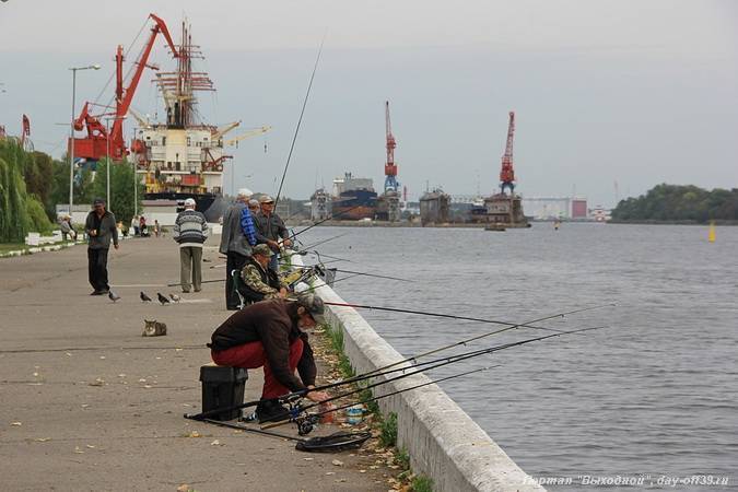 Рыбалка в калининградской области