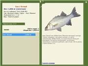 Морской волк, или сибас: описание рыбы, ловля, разведение
