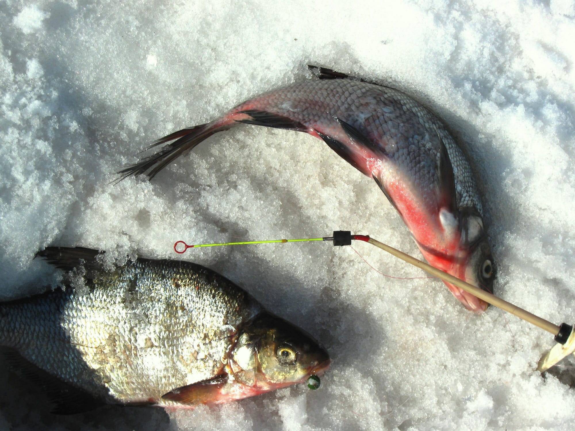 Мормышки для зимней рыбалки: выбираем самые уловистые виды