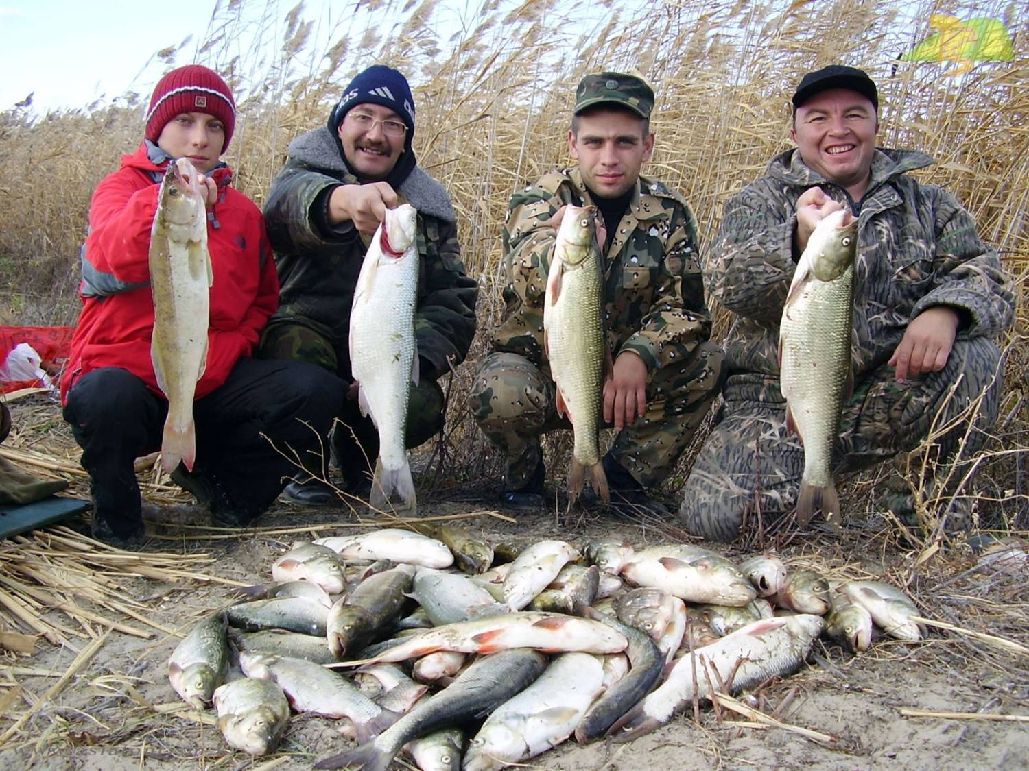 Ловля рыбы в октябре