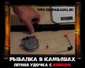 Ловля плотвы и окуня на мормышку