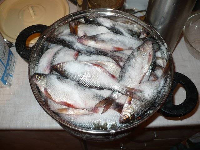Сухой посол рыбы в домашних условиях: особенности засолки, рецепты приготовления
