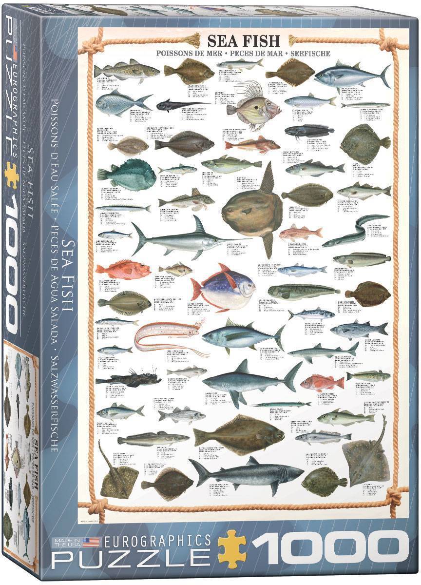 Язь: описание рыбы, фото, образ жизни, ловля, разведение и ценные свойства рыбы