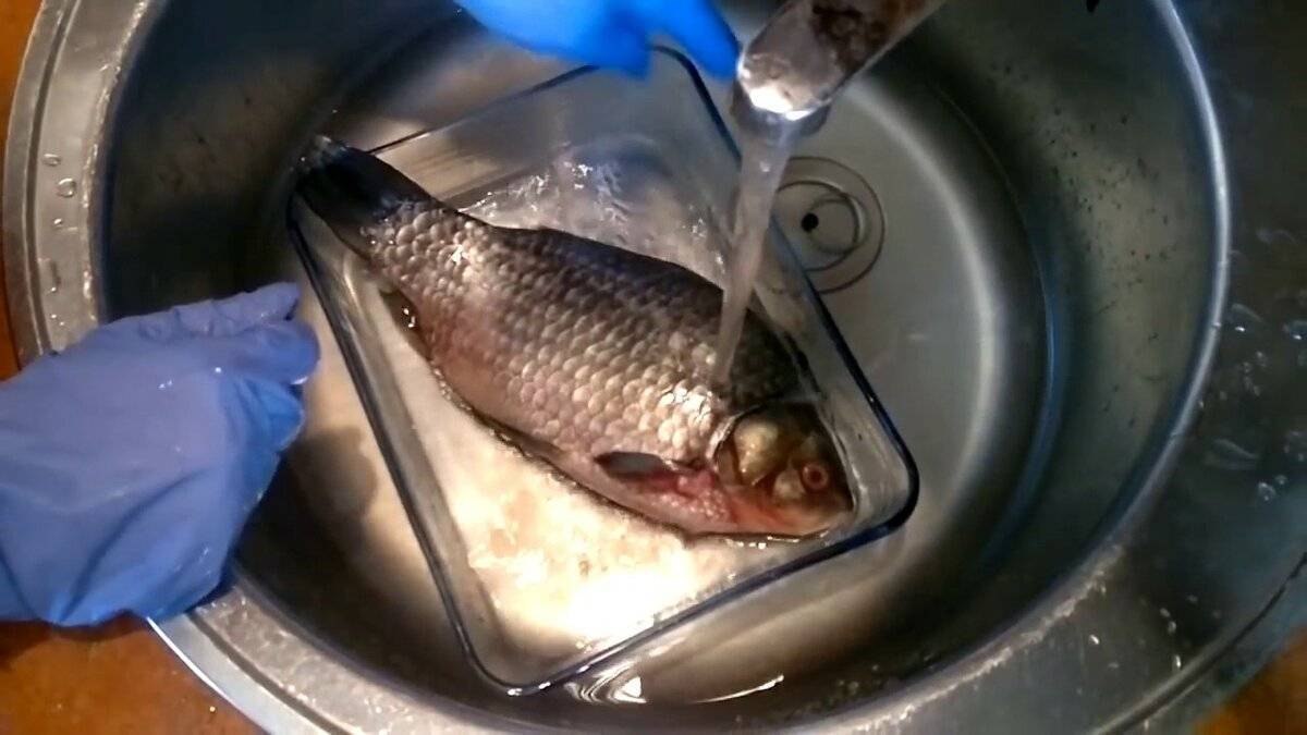 Как быстро чистить рыбу от чешуи в домашних условиях: 5 легких способов | lisa.ru