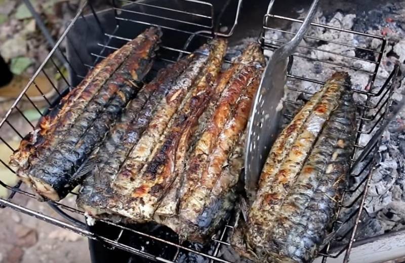Шашлык из красной рыбы: рецепты на мангале с разными маринадами