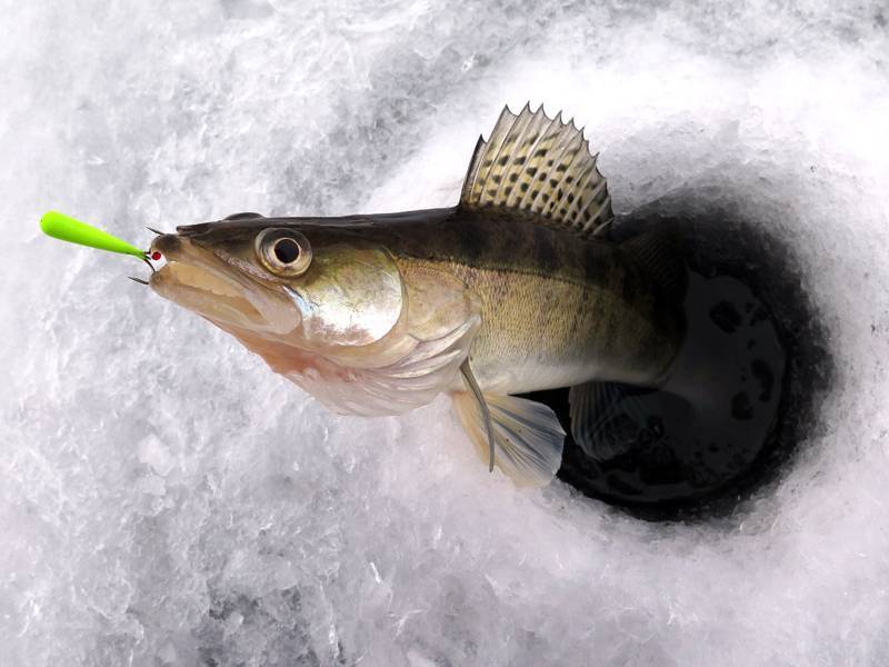 Зимняя рыбалка на мормышку: какие лучше, виды самых уловистых блесен