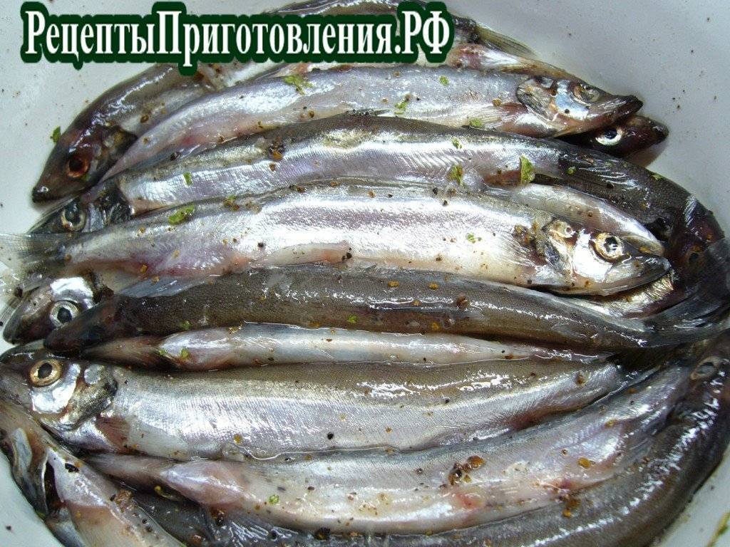 Как завялить окуня