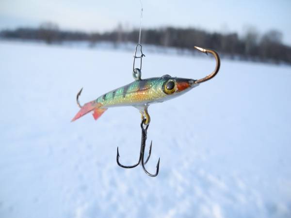 Зимняя рыбалка на балансир – как правильно подобрать наживку