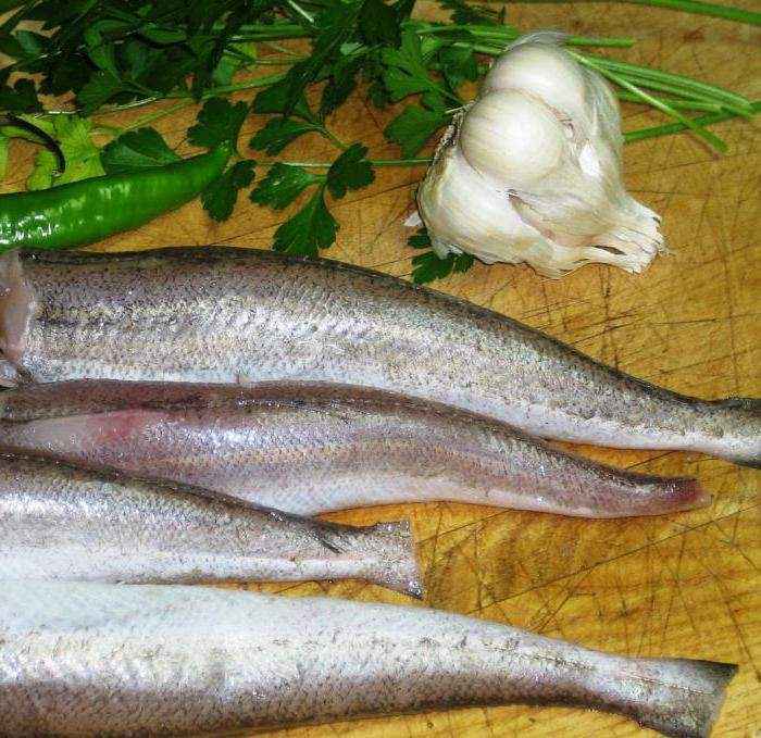 Рыба пикша: польза и вред