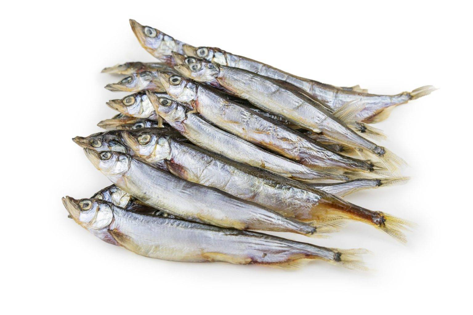 Мойва – польза, вред и калорийность, советы по выбору рыбы, рецепты с фото на ydoo.info