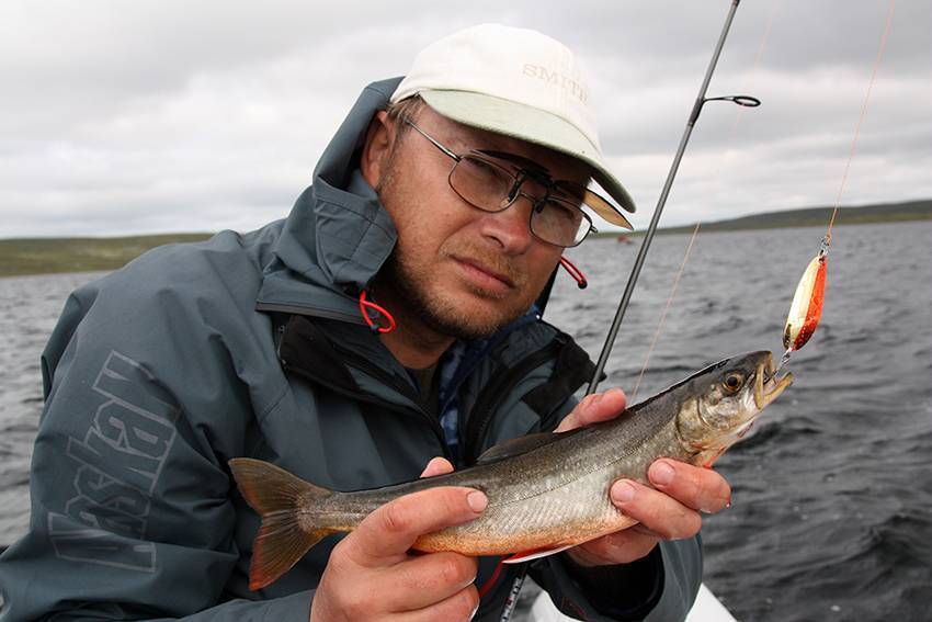 Рыбалка на кольском полуострове: лучшие места для ловли, какая рыба водится