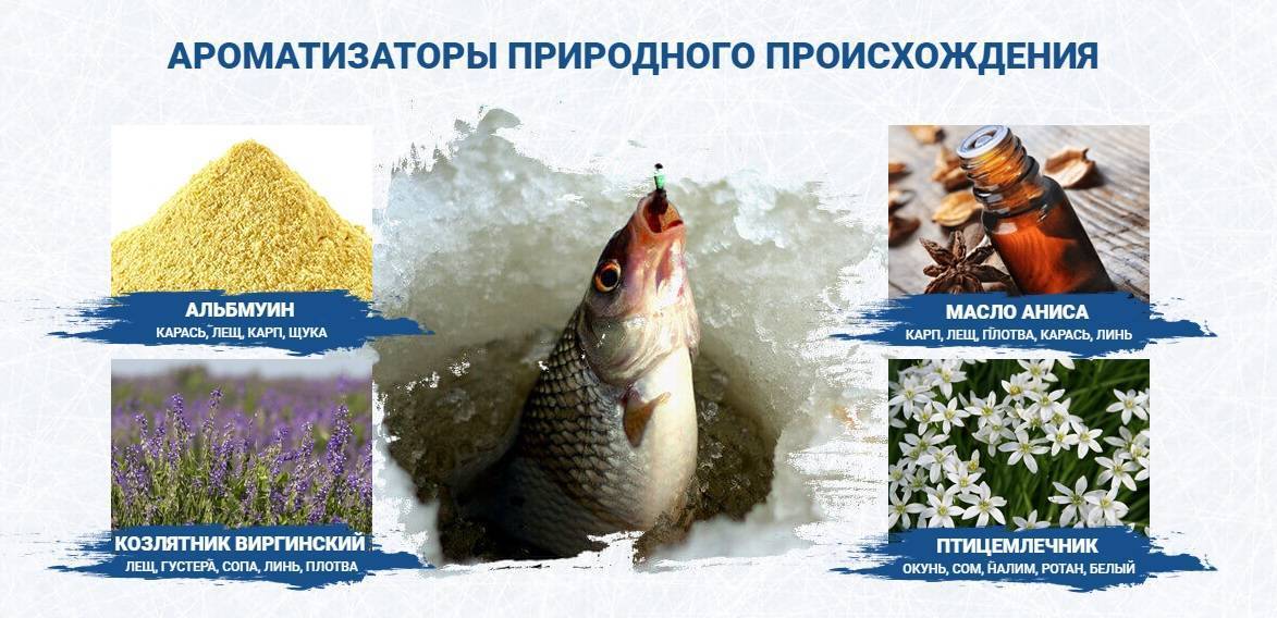 Активатор клева fishhungry голодная рыба: где купить, отзывы, цена, развод или нет