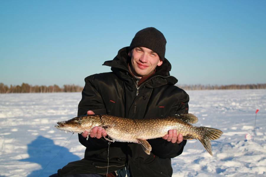 Где порыбачить в новосибирске: платные водоемы, карта рыбалки