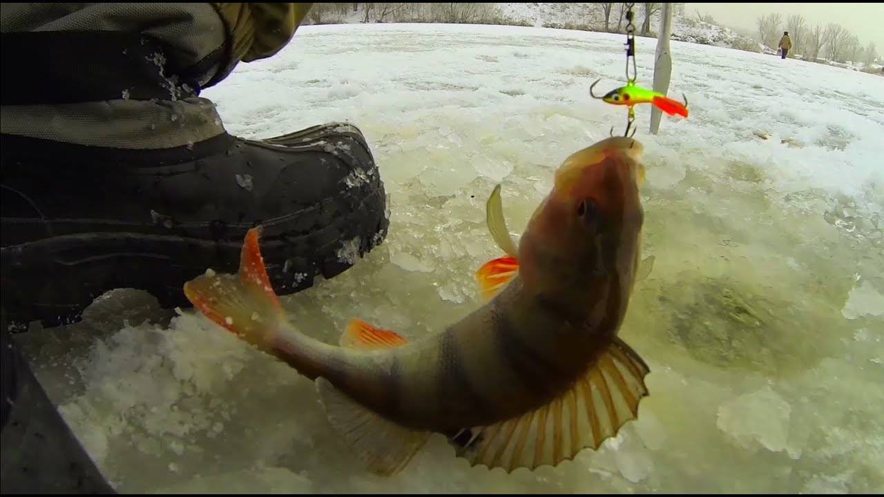 Видео о рыбалке смотреть онлайн