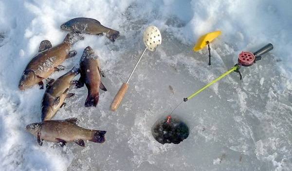 Зимняя рыбалка на щуку: секреты ловли зимой, популярные снасти, подходящие наживки и приманки