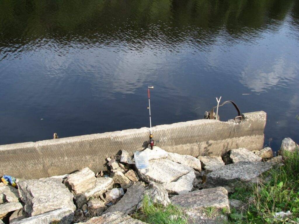 Рыбалка на пахке: какая рыба водится, ловля на реке в районе ям