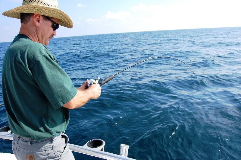 Спиннинг для морской рыбалки с берега: как выбирать лучший