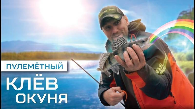 Секрет бывалых деревенских рыбаков, как удачно поймать много рыбы