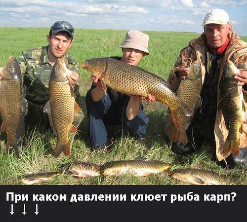 Рыболовный календарь — ловля рыбы в сентябре