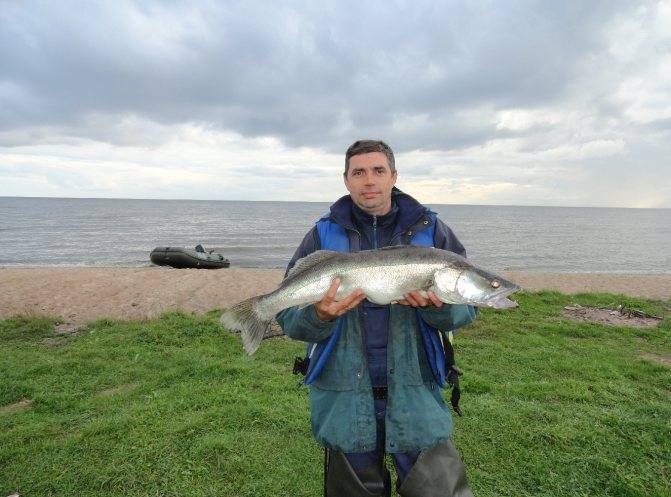 Рыбалка ульяновск - #13 - рыбалка в ульяновске