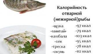 Рыба для похудения - список нежирных и полезных сортов. рыба для диеты - новая медицина