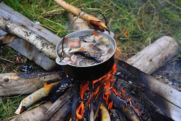 Шашлык из рыбы: какую рыбу лучше выбрать, чтобы жарить на мангале