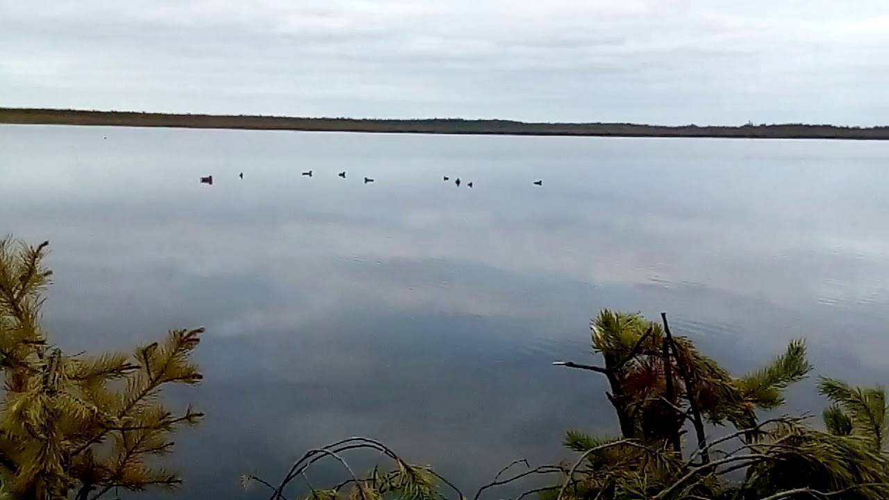 Озера свердловской области для отдыха с детьми, купания, рыбалки