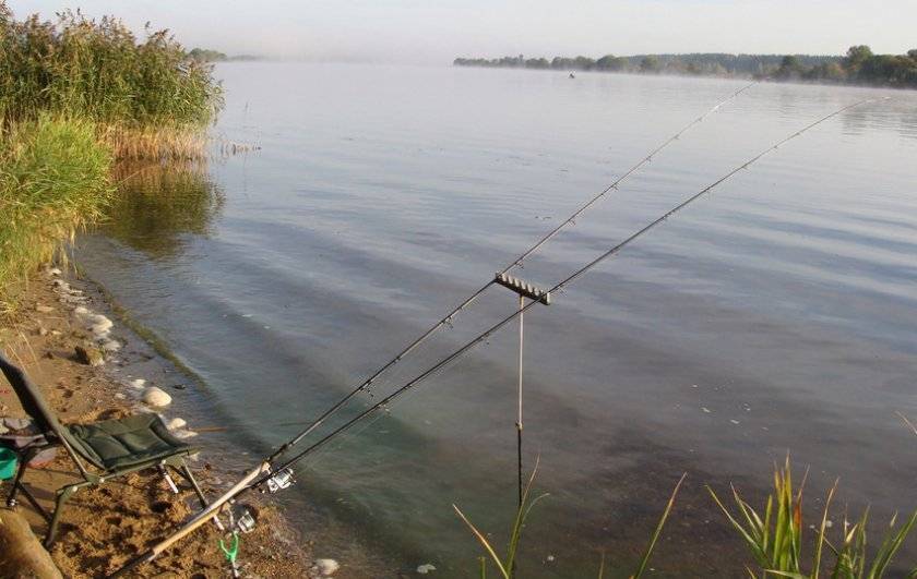Донка на карася | про рыбалку - секреты рыбной ловли