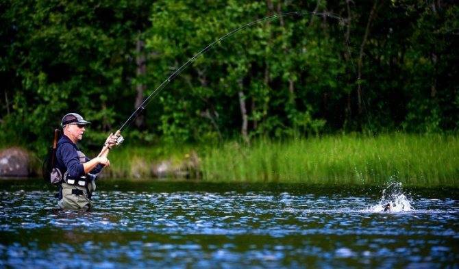 Рыбалка в псковской области