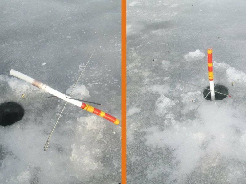 Тактика ловли щуки по первому льду на жерлицы
тактика ловли щуки по первому льду на жерлицы