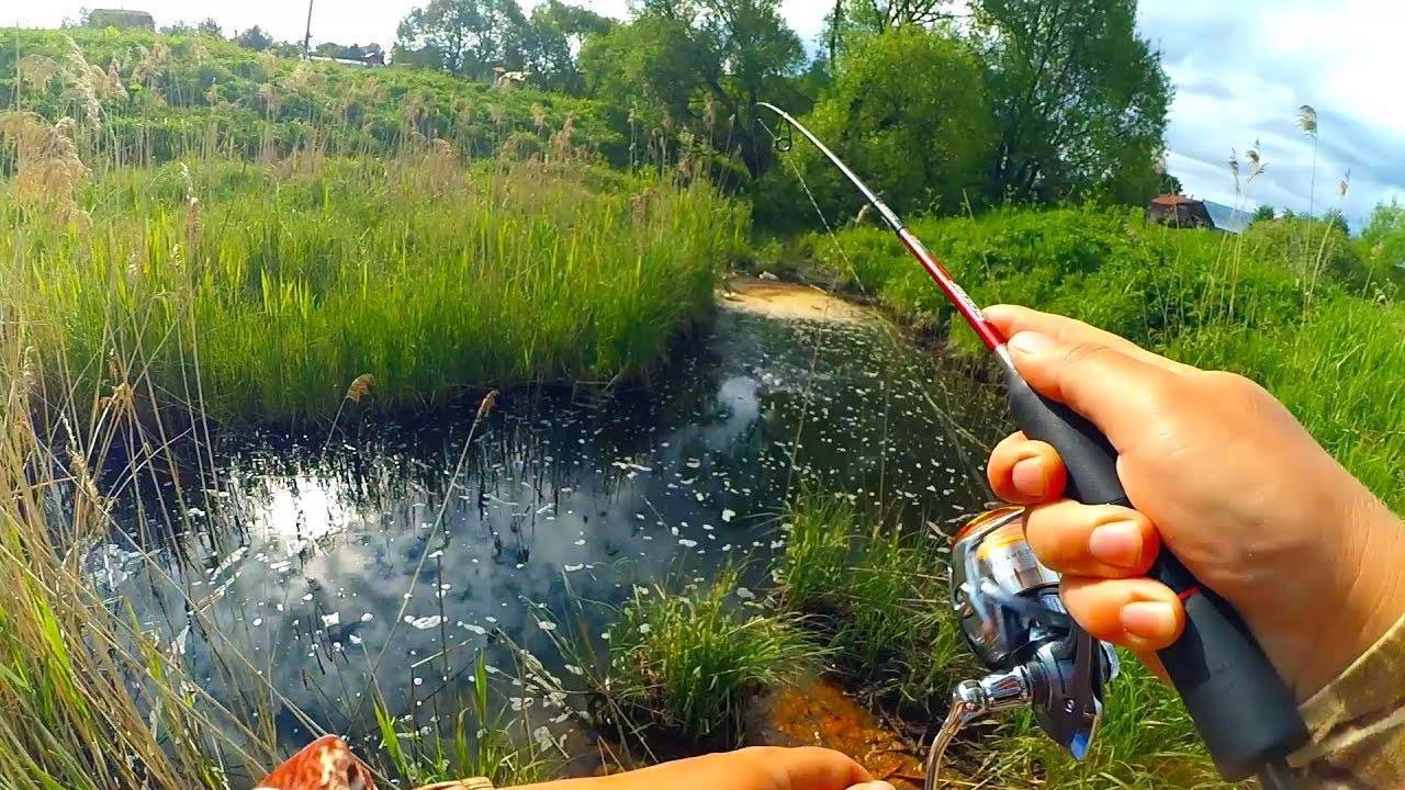 Как ловить рыбу на малых реках на спиннинг?