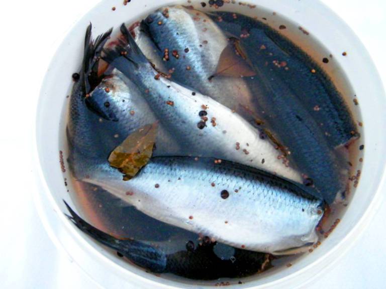 Как засолить рыбу в домашних условиях - 10 фото рецептов + видео