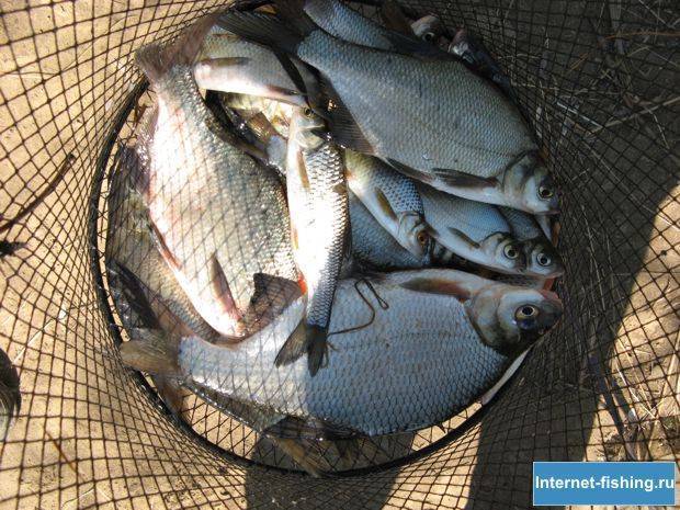 Рыбалка в калужской области