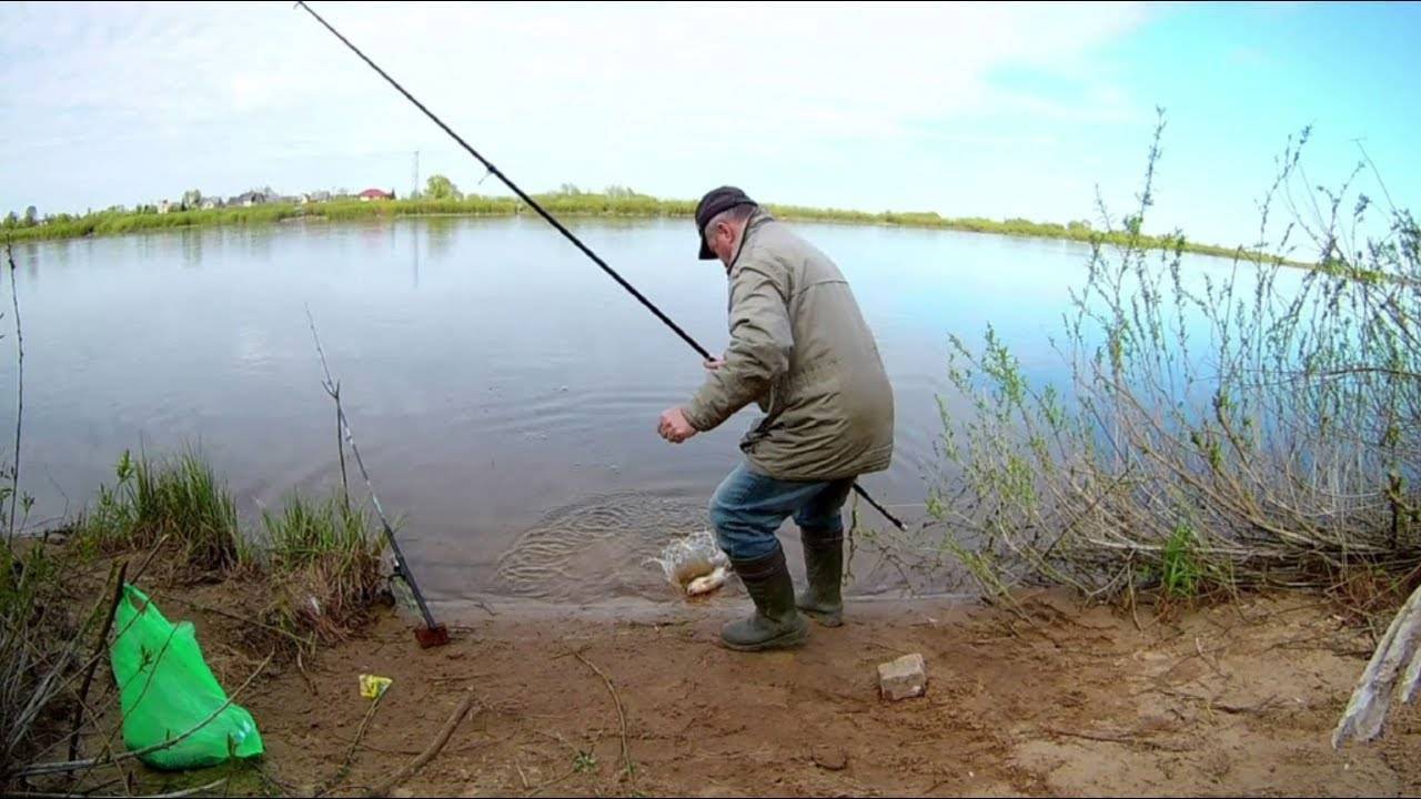 Как ловить на донку: на что ловят, азы донной рыбалки для новичков