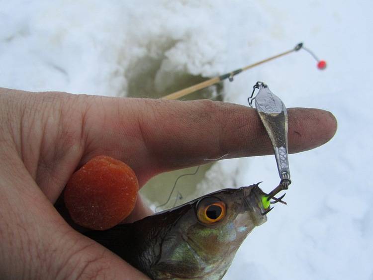 Рыбалка по первому льду
