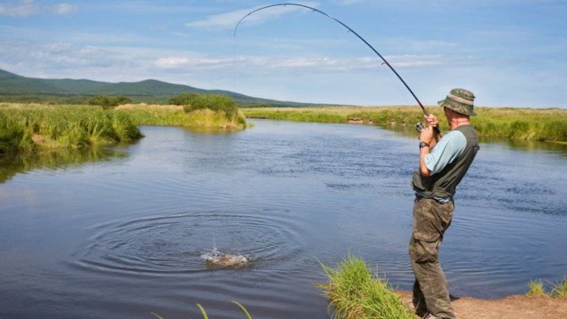 Рыбалка в июле — на что лучше ловить, какая рыба клюет в подмосковье