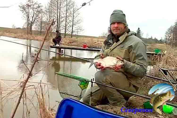Как ловить карася весной на фидер и подготовиться к рыбалке
как ловить карася весной на фидер и подготовиться к рыбалке