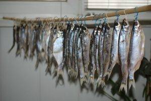 Как вялить рыбу