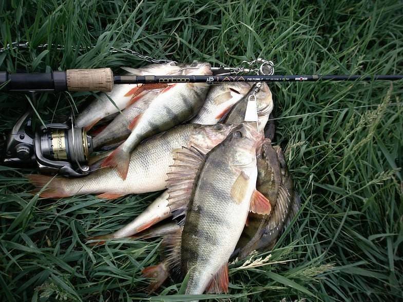 Лучшие рыболовные места челябинской области – рыбалке.нет