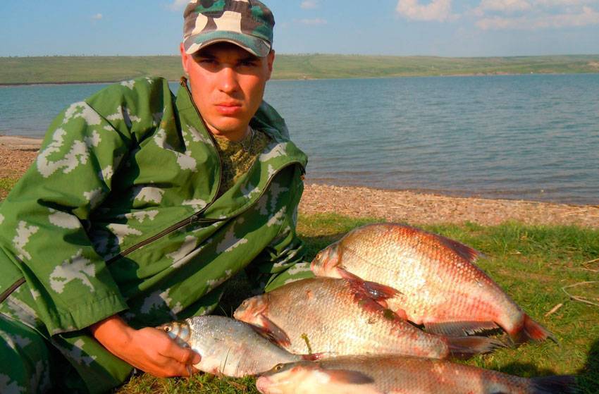12 лучших рыболовных мест краснодарского края – рыбалке.нет