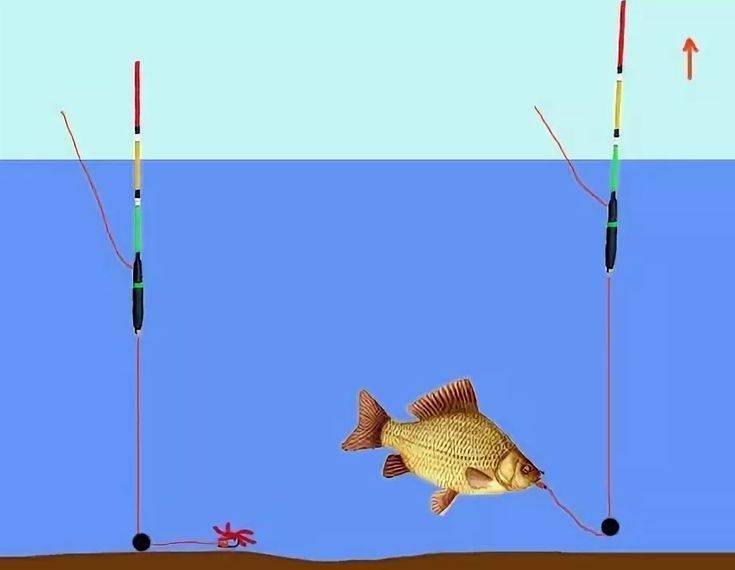 Рыбалка поплавочной удочкой - оснастка и процесс ловли