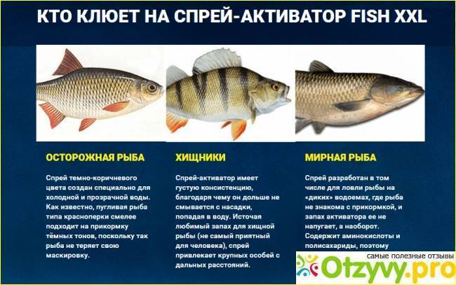 Вводим рыбу в прикорм ребенку