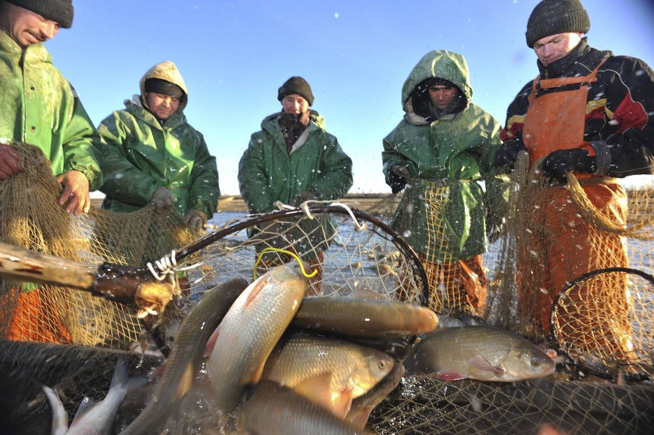 Платная рыбалка в ленинградской области: цены на базы и туры для платной рыбалки на озерах и реках области