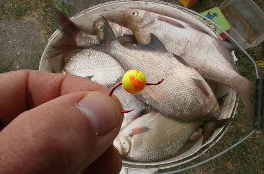 Пенопластовые лещи - спортивное рыболовство