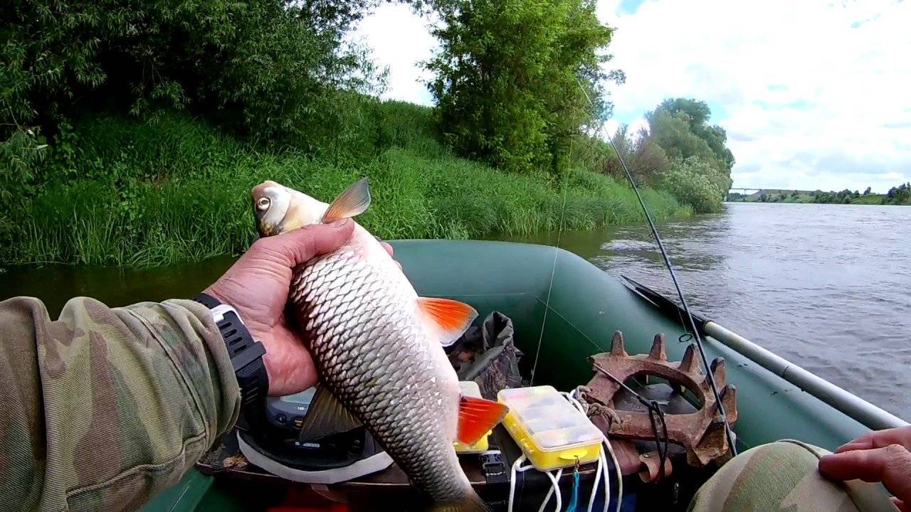 Видео рыбалка: смотреть онлайн ролики о ловле рыбы зимой и летом