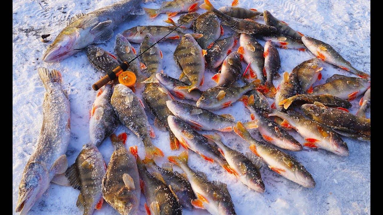 Лайфхаки для рыбалки: рыбацкие хитрости и секреты, полезные советы рыбакам, выбор удачного рыболовного места и другие лайфхаки для рыболовов