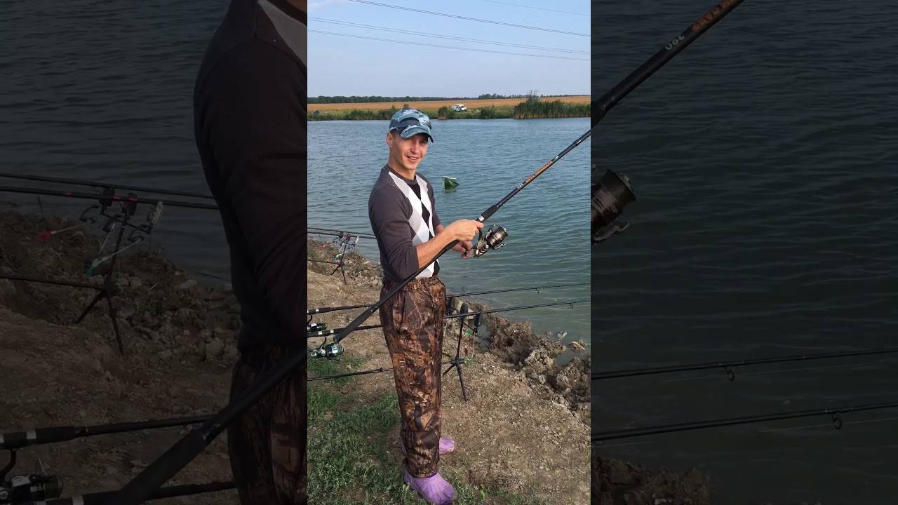 Платная рыбалка в ставропольском крае: водохранилище, правоегорлыкский канал и другие места лова