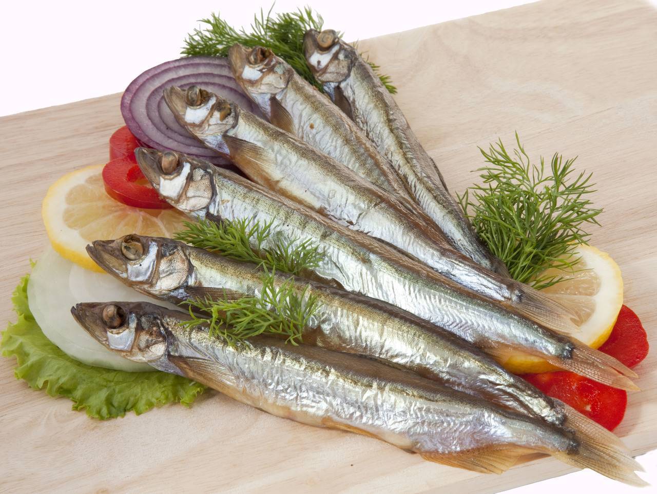 Рыба мойва: описание с фото, применение, калорийность и хранение